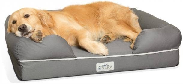 Best large best sale dog beds 2018